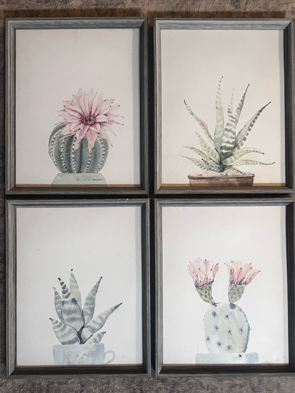 Set of 4 Watercolor Cactus & Succulent Wall Art - Pink & Sage Green